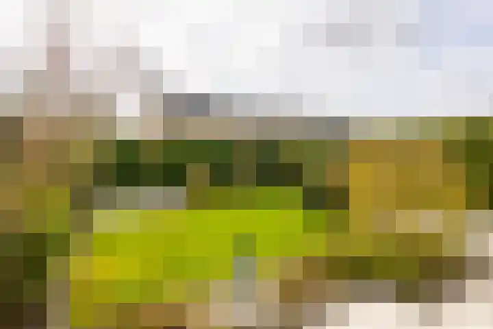 Batelier 73 Sliedrecht thumbnail 25