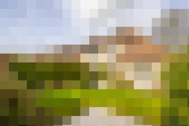Batelier 73 Sliedrecht thumbnail 26