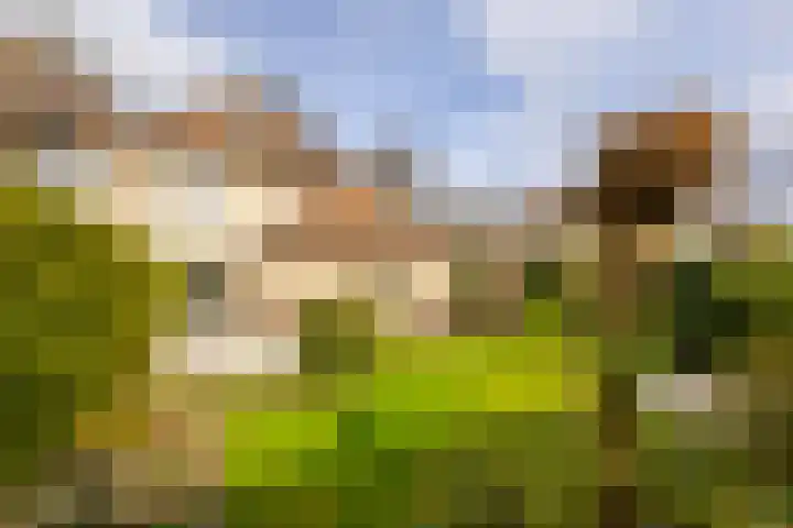 Batelier 73 Sliedrecht thumbnail 27