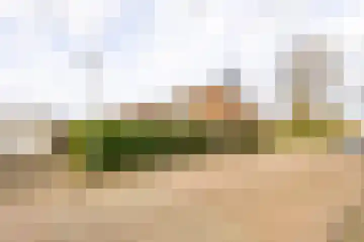 Batelier 73 Sliedrecht thumbnail 28