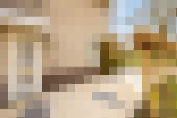 Batelier 73 Sliedrecht thumbnail 29