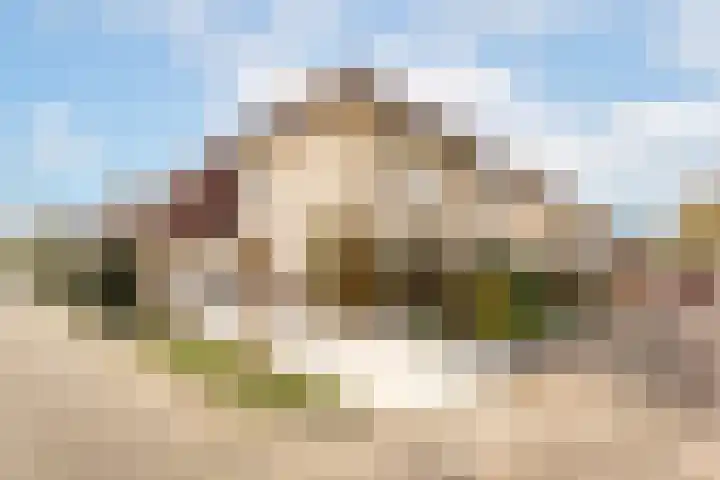 Batelier 73 Sliedrecht thumbnail 30
