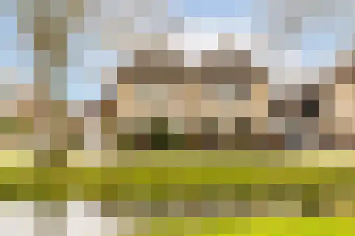 Batelier 73 Sliedrecht thumbnail 31