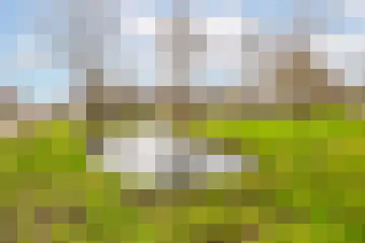 Batelier 73 Sliedrecht thumbnail 33