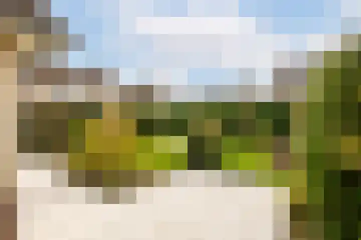 Batelier 73 Sliedrecht thumbnail 4