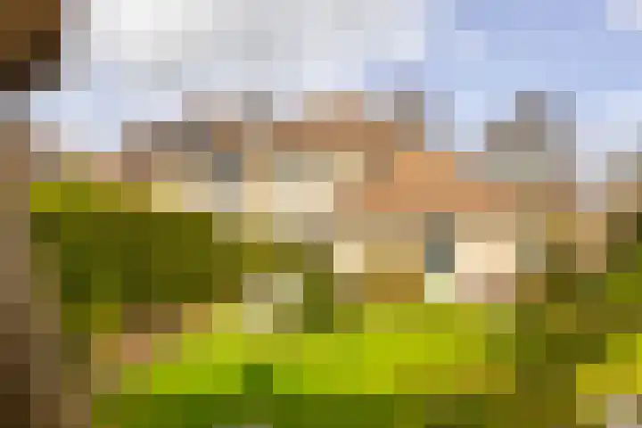Batelier 73 Sliedrecht thumbnail 5