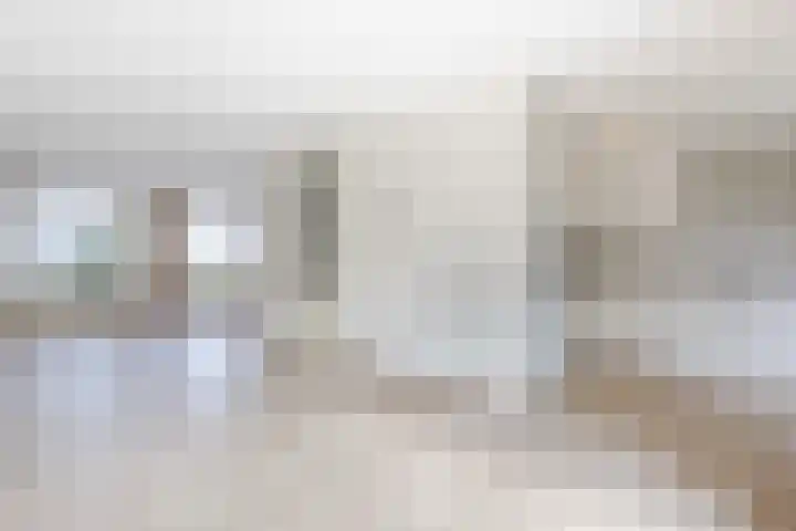 Batelier 73 Sliedrecht thumbnail 8