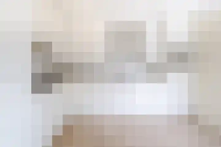 Batelier 73 Sliedrecht thumbnail 9