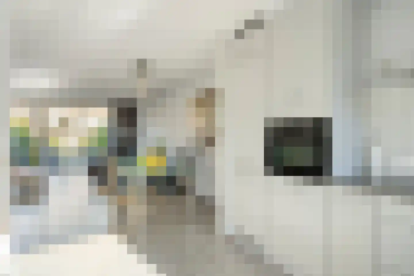 Batenborch 29 Vianen thumbnail 14