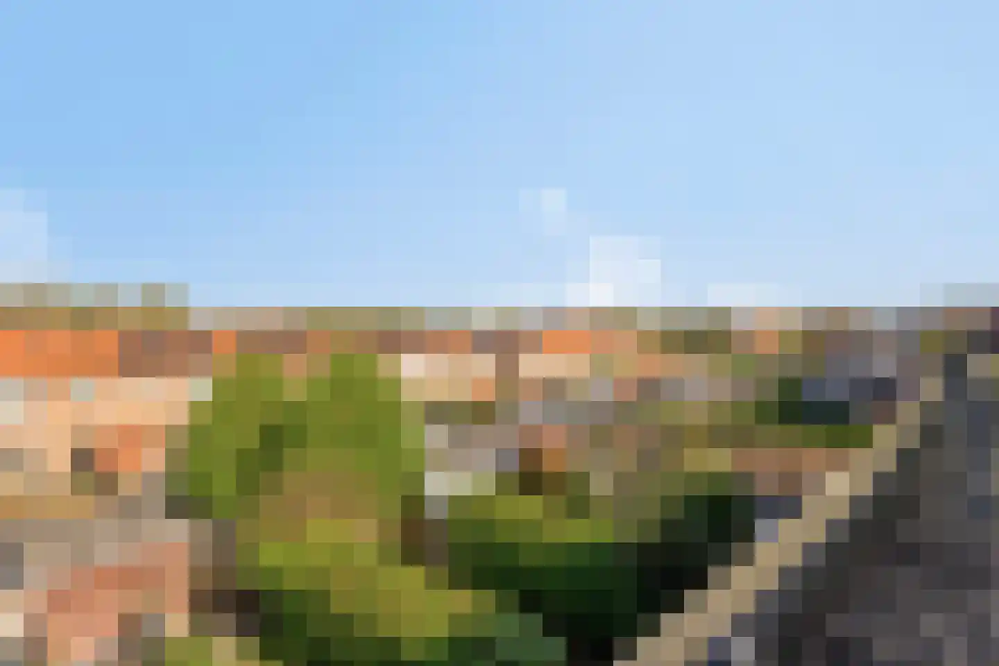 Batenborch 29 Vianen thumbnail 28