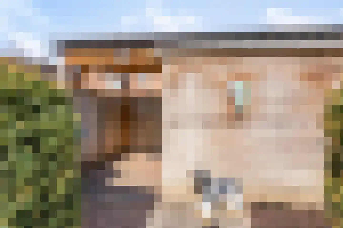 Batenborch 29 Vianen thumbnail 33