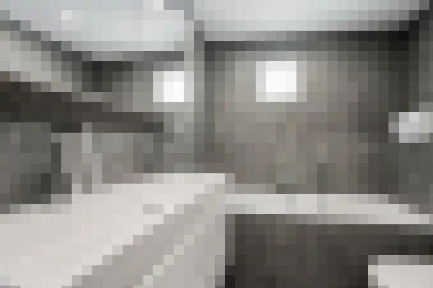 Batenborch 55 Vianen thumbnail 17