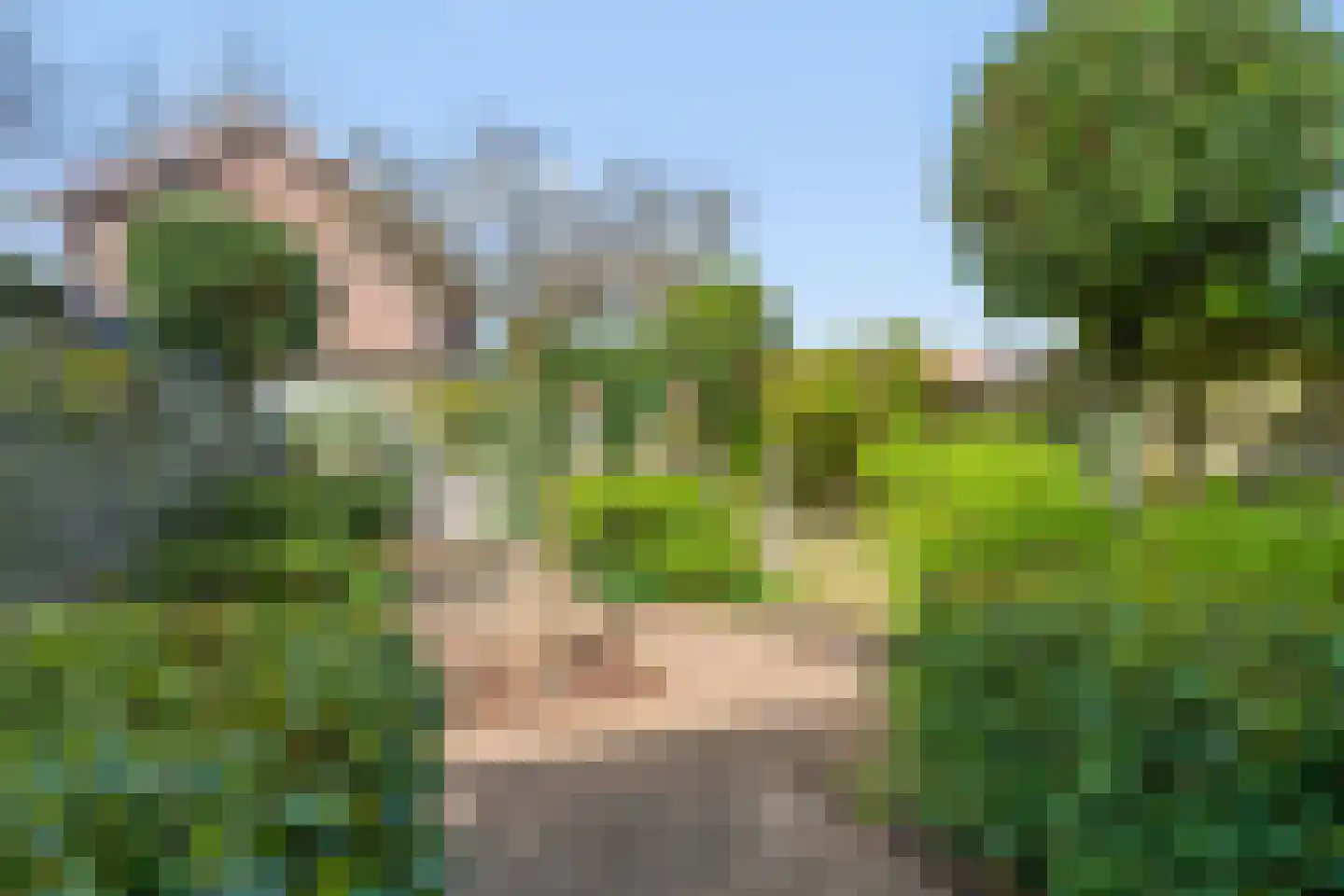Batenborch 55 Vianen thumbnail 24