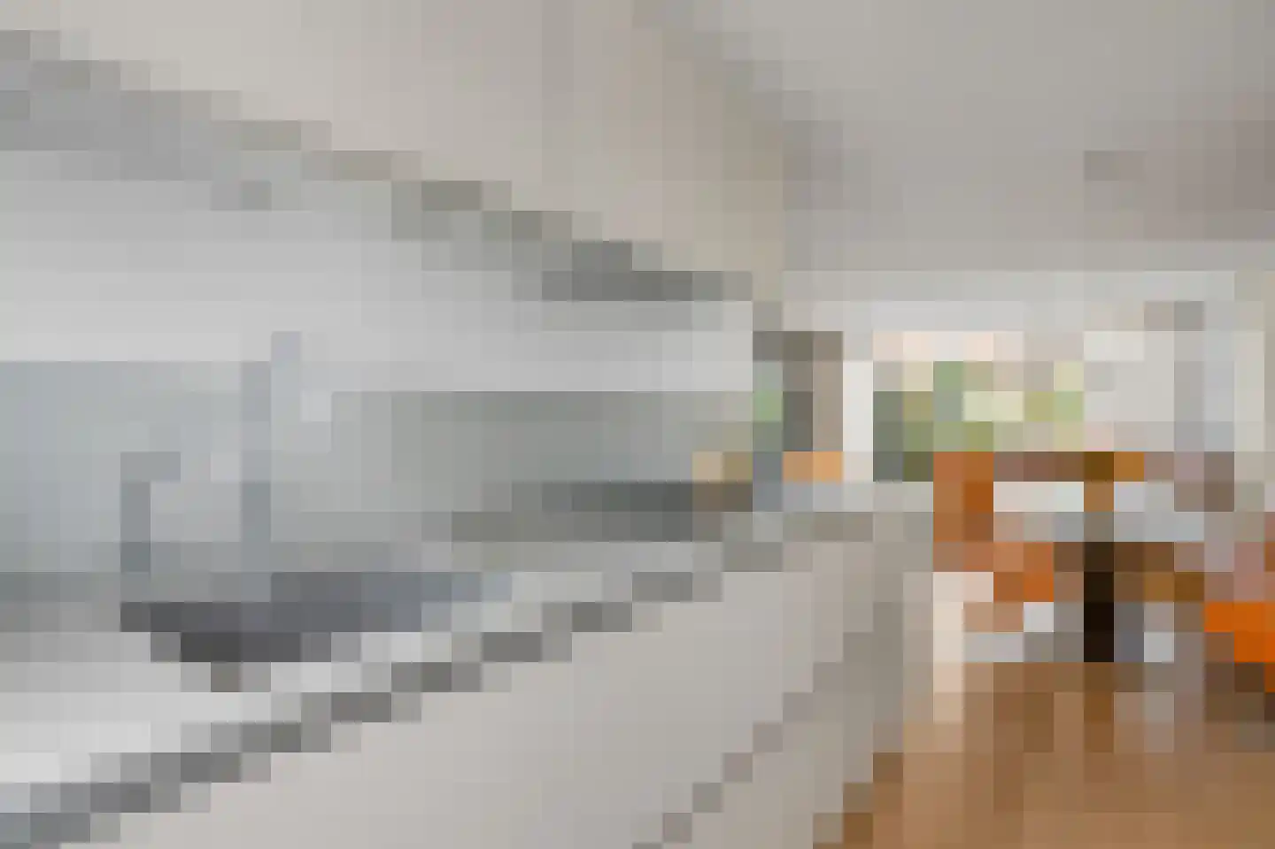 Batenborch 55 Vianen thumbnail 9
