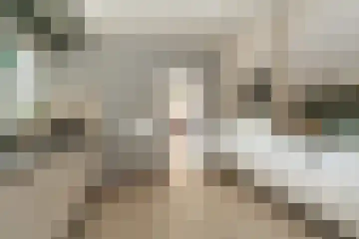 Batenborg 10 Stadskanaal thumbnail 13