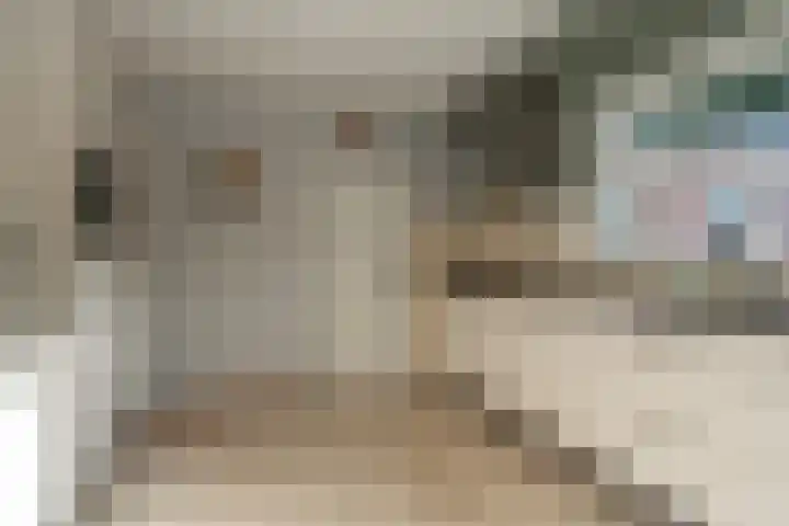 Batenborg 10 Stadskanaal thumbnail 15