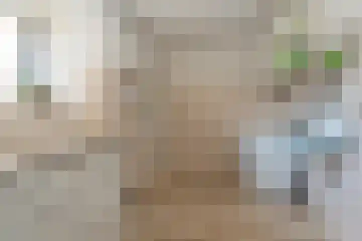 Batenborg 10 Stadskanaal thumbnail 17