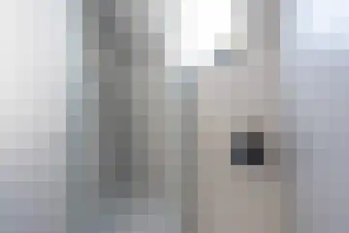 Batenborg 10 Stadskanaal thumbnail 39