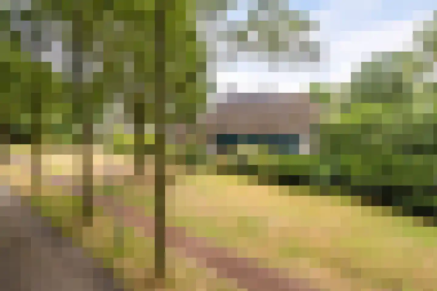 Batenborg 7 Stadskanaal thumbnail 11