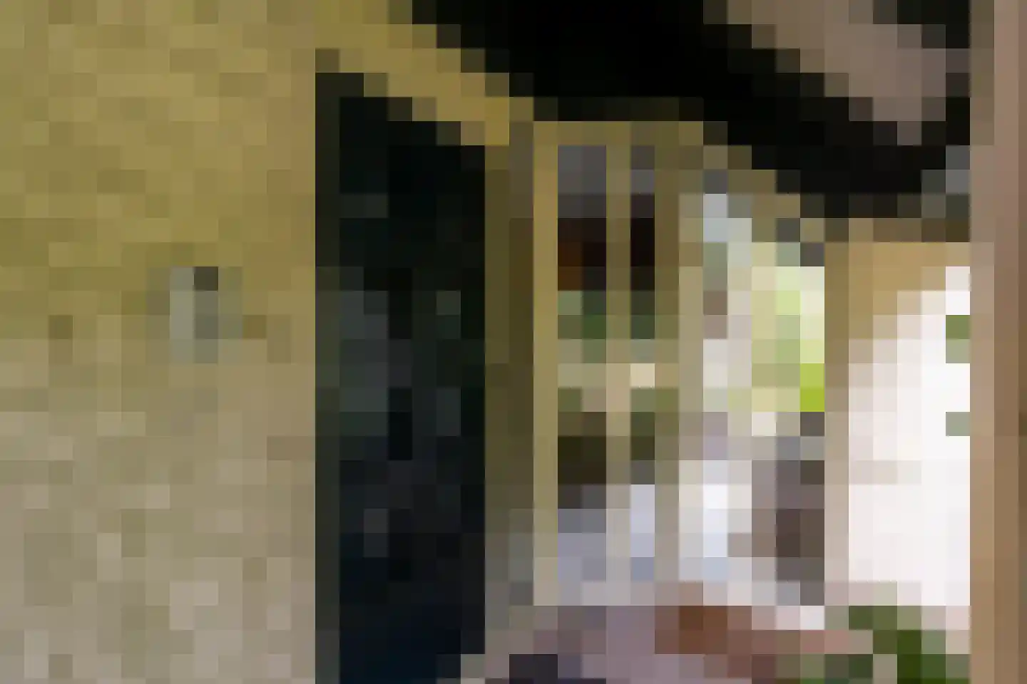 Batenborg 7 Stadskanaal thumbnail 13