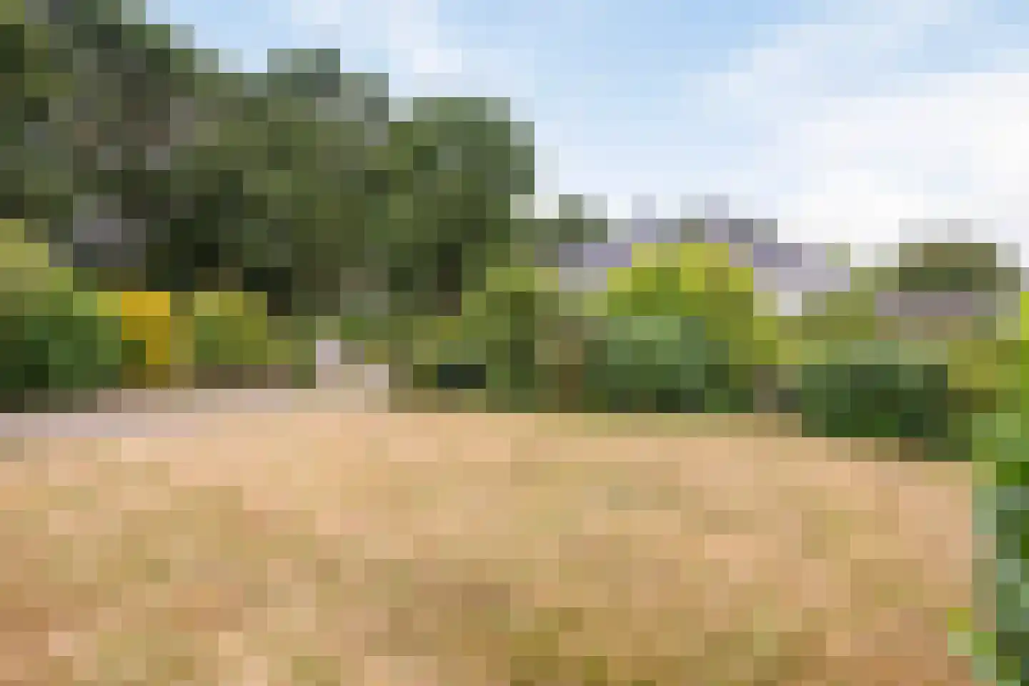 Batenborg 7 Stadskanaal thumbnail 44