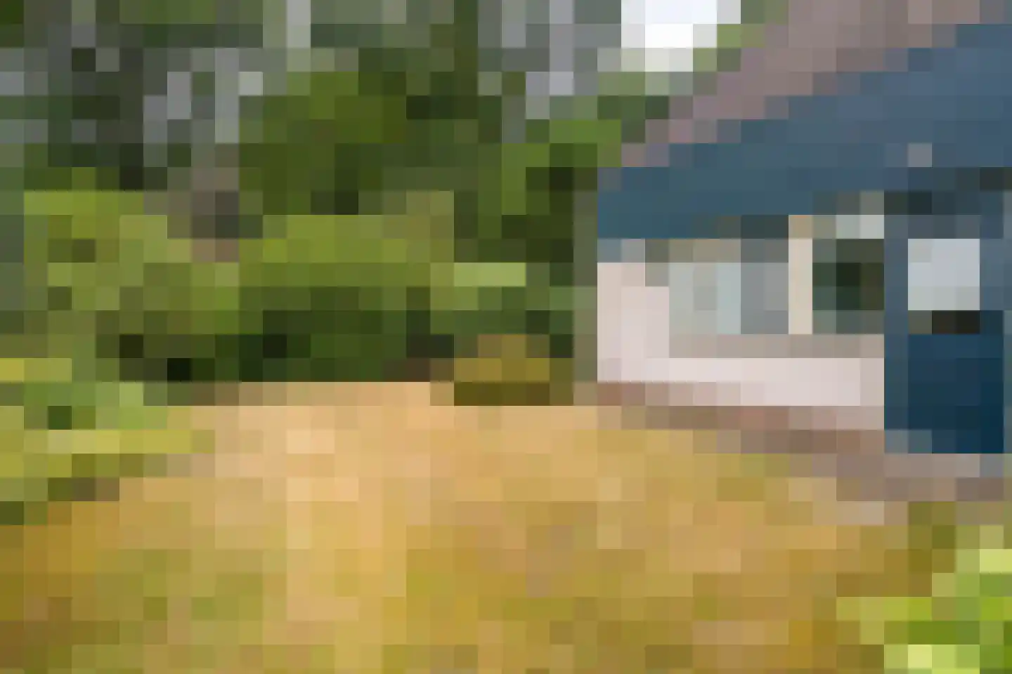 Batenborg 7 Stadskanaal thumbnail 47
