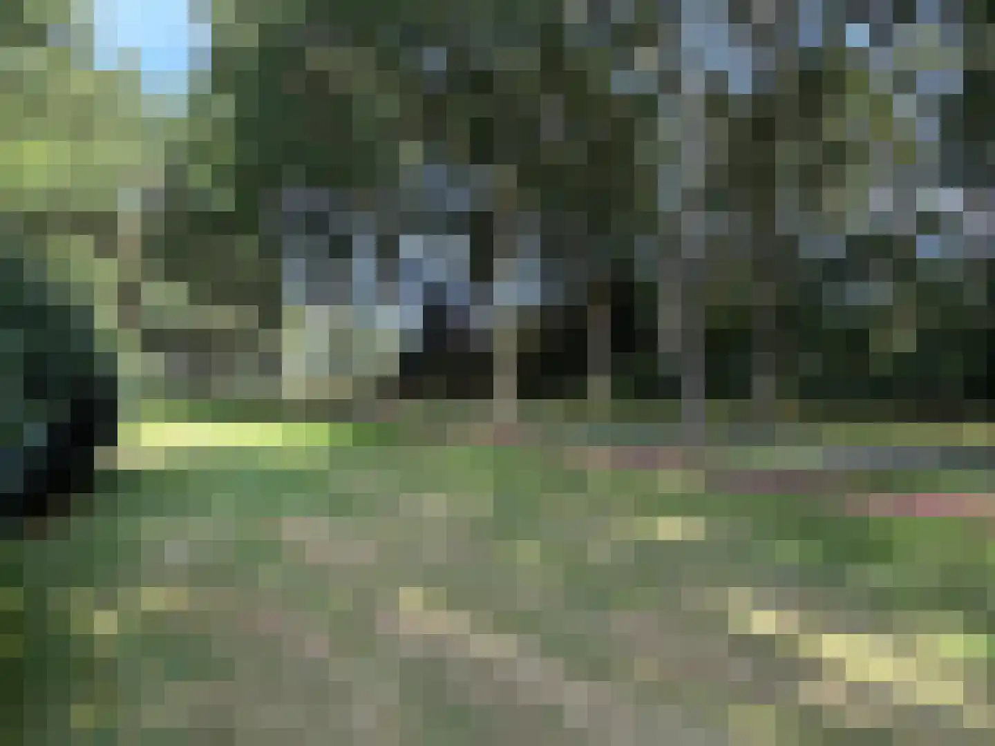 Batenborg 7 Stadskanaal thumbnail 50