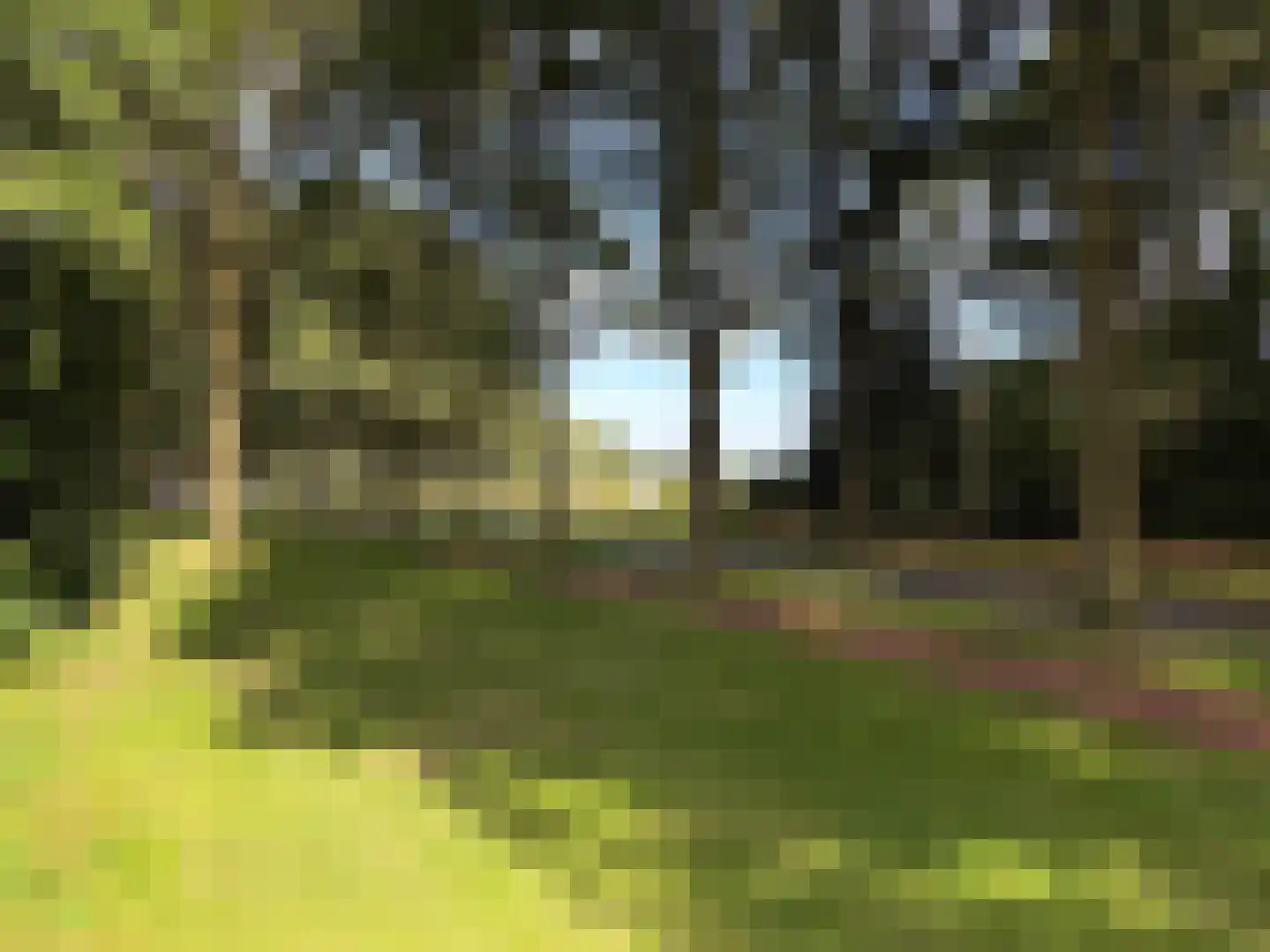 Batenborg 7 Stadskanaal thumbnail 51