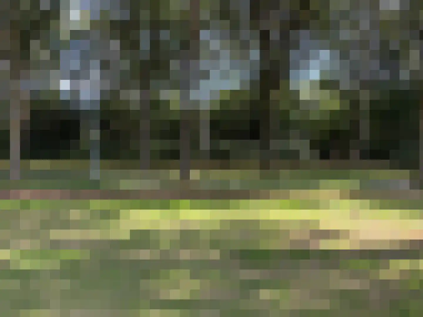 Batenborg 7 Stadskanaal thumbnail 52
