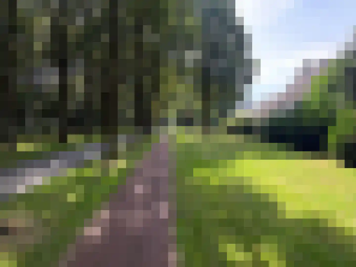 Batenborg 7 Stadskanaal thumbnail 54