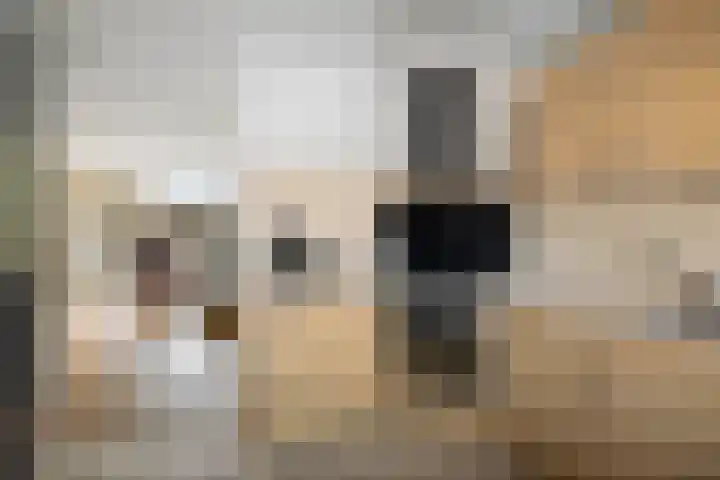 Batenburg 205 Deventer thumbnail 11