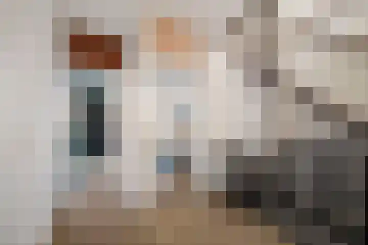 Batenburg 205 Deventer thumbnail 14