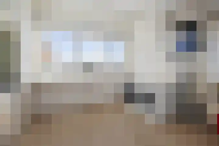 Batenburg 205 Deventer thumbnail 27