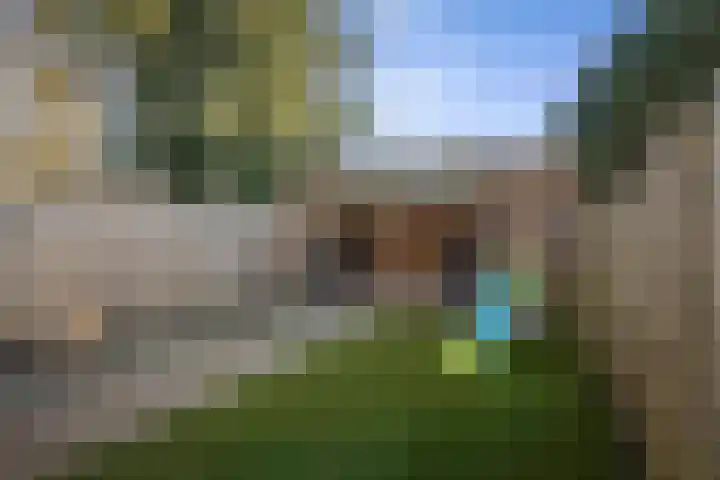 Batenburg 205 Deventer thumbnail 32
