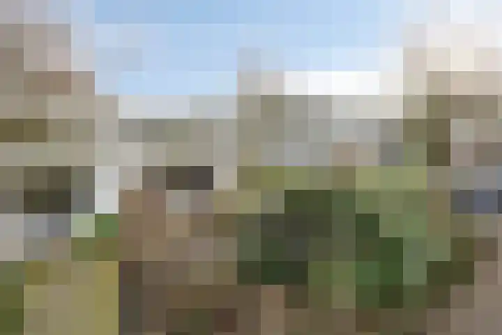 Batenburg 804 Deventer thumbnail 25