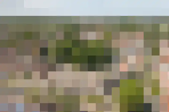 Batenburg 88 Vlissingen thumbnail 30