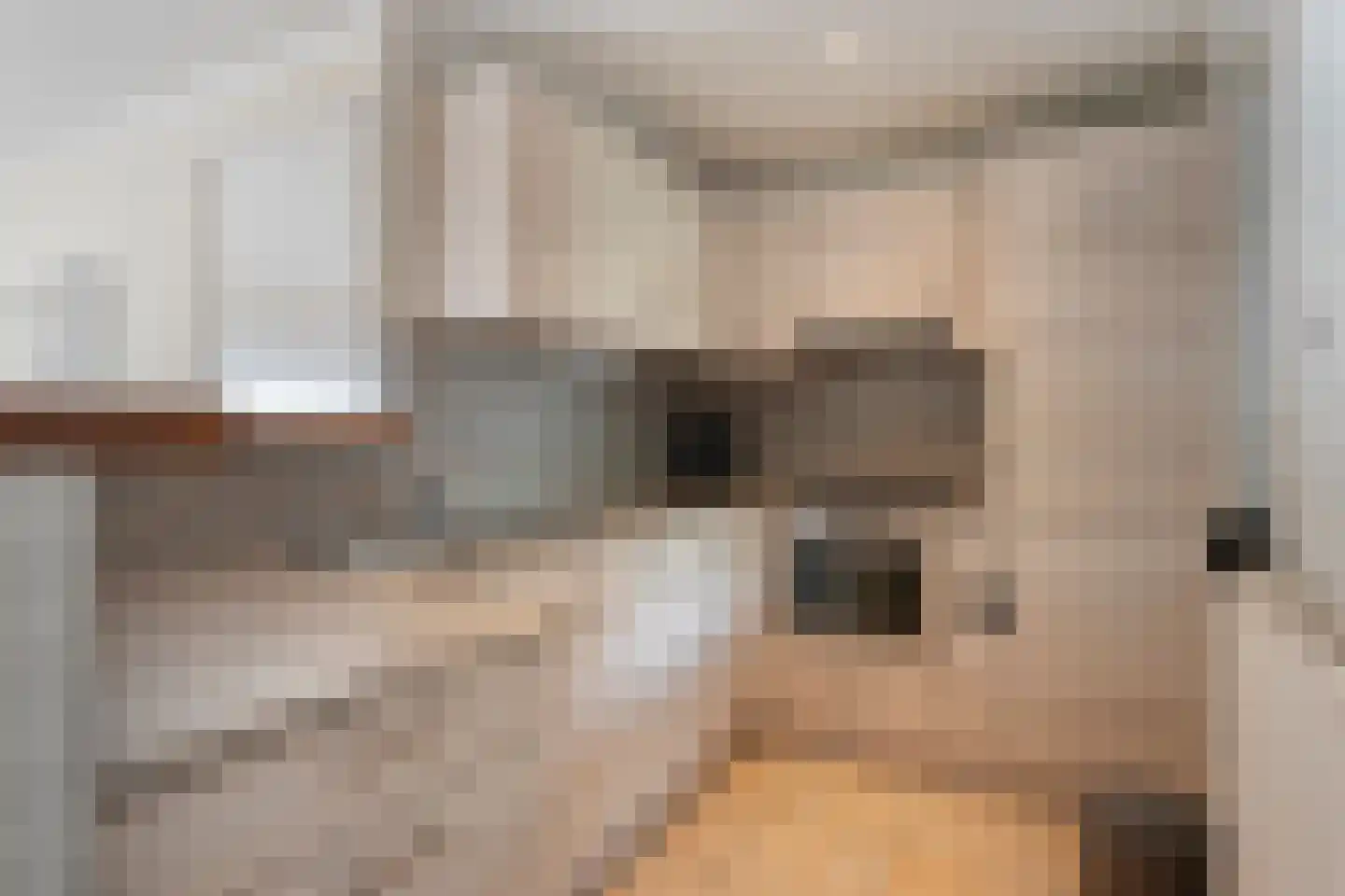 Batenburgerstraat 24 Stein thumbnail 10