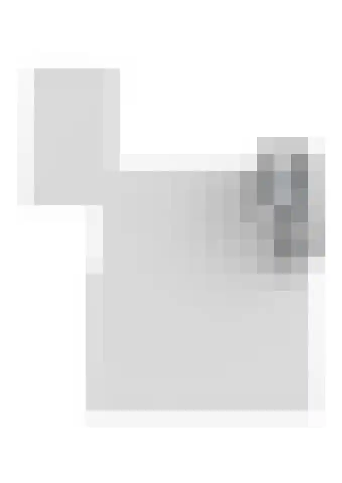 Batenburgerstraat 24 Stein thumbnail 32