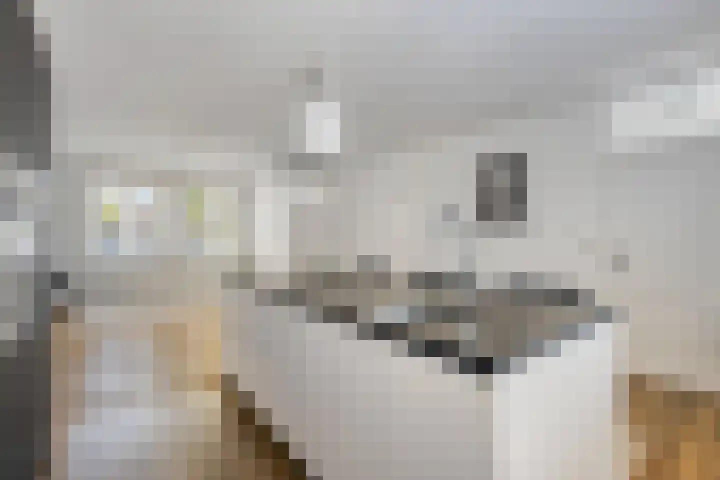 Batenburglaan 65 Tilburg thumbnail 14