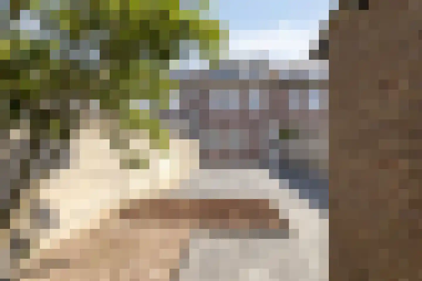 Batenburglaan 65 Tilburg thumbnail 35