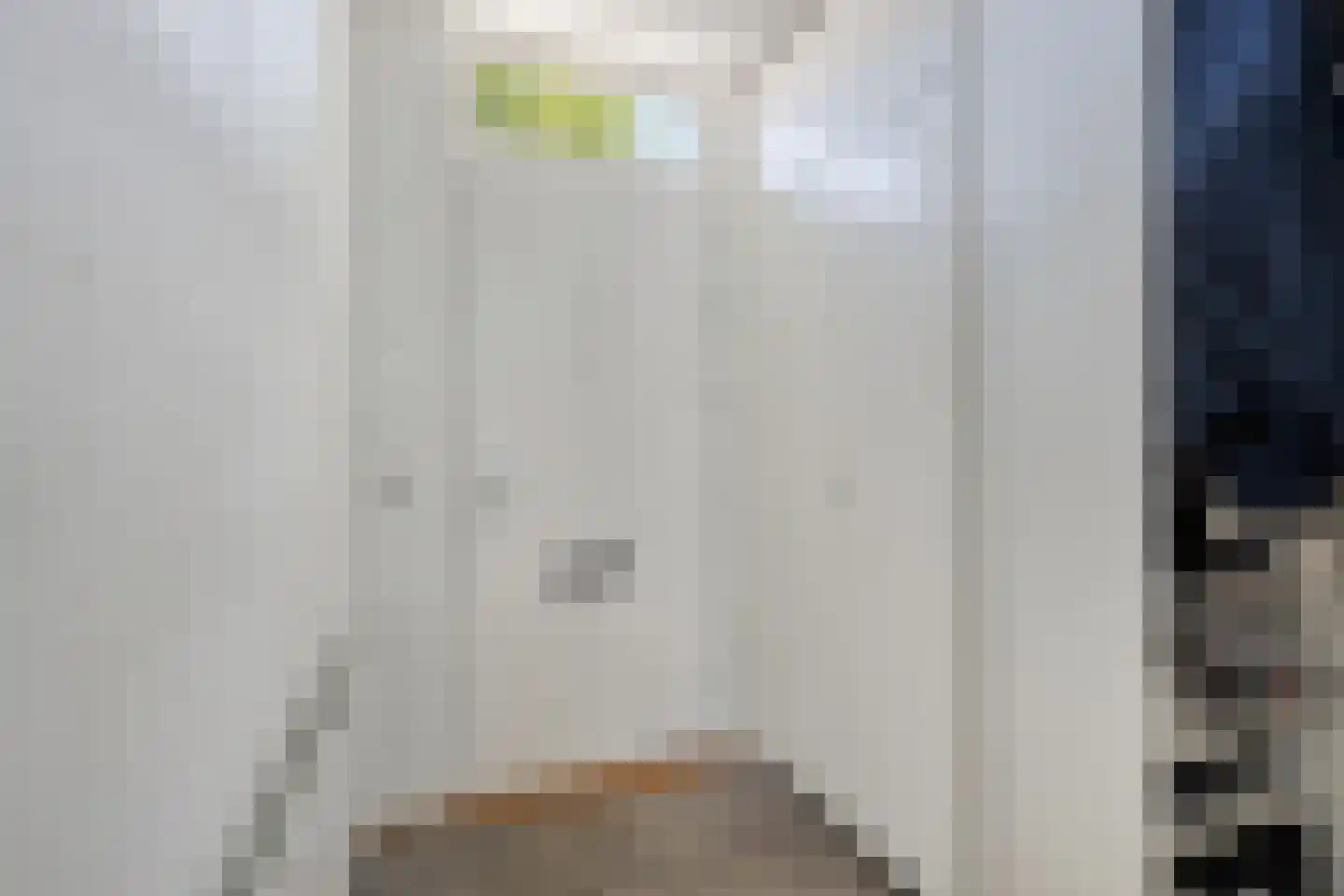 Batenburglaan 65 Tilburg thumbnail 4