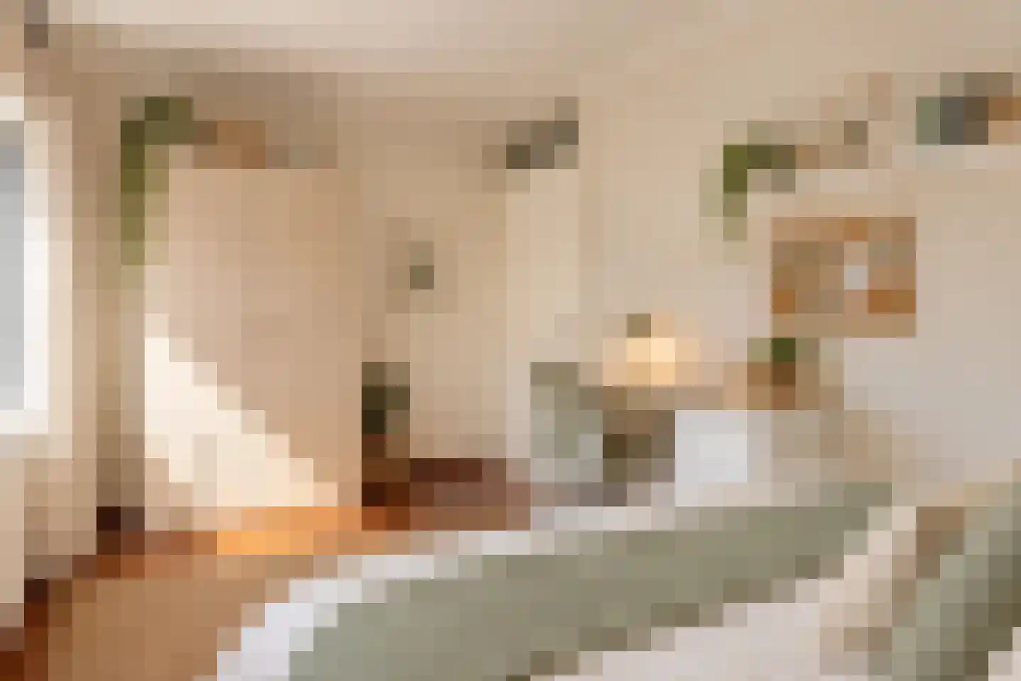 Batenhof 6 Eindhoven thumbnail 17