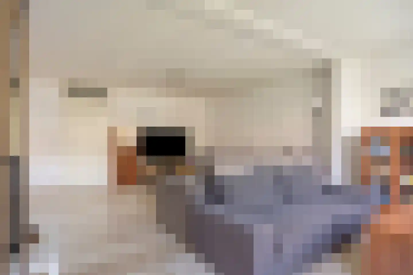 Batenhof 6 Eindhoven thumbnail 5