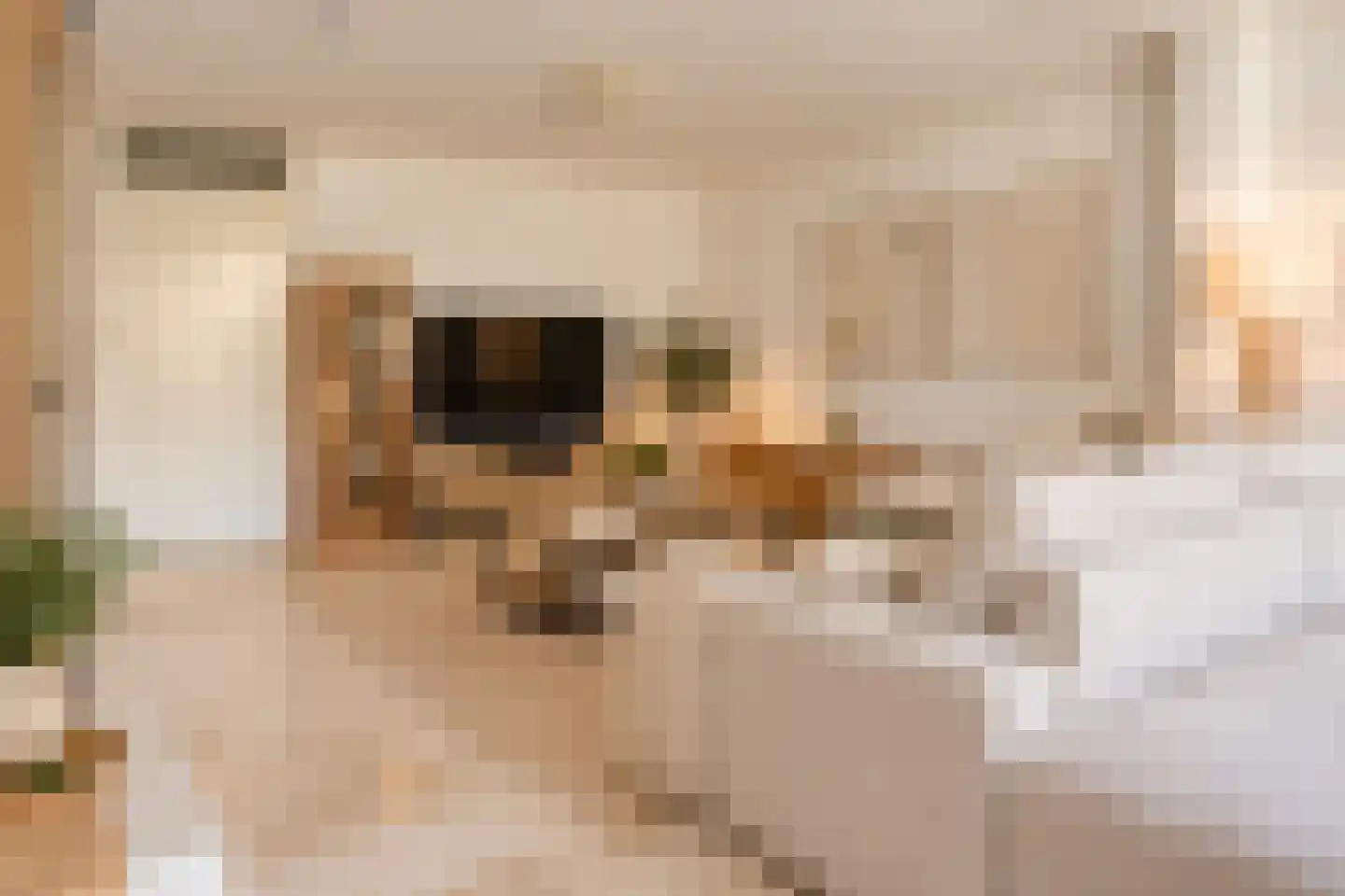 Batenhof 6 Eindhoven thumbnail 7