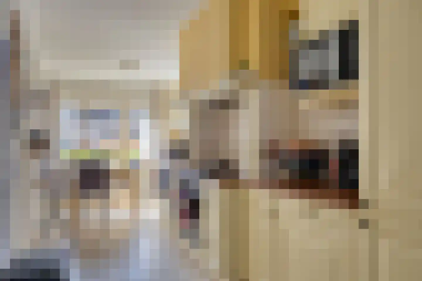 Batenhof 6 Eindhoven thumbnail 8