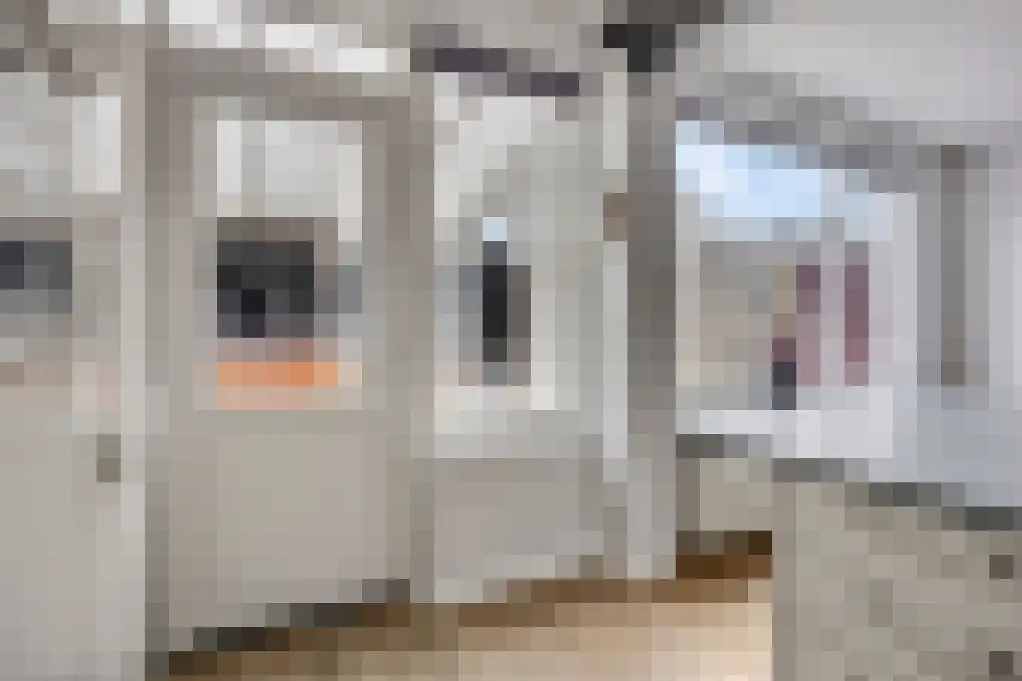 Batenstein 14 Ede thumbnail 14