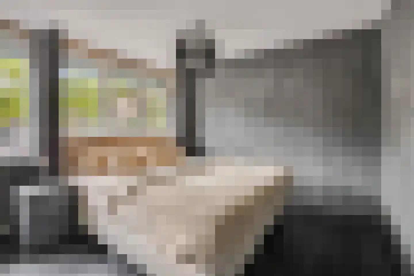 Batenstein 14 Ede thumbnail 16