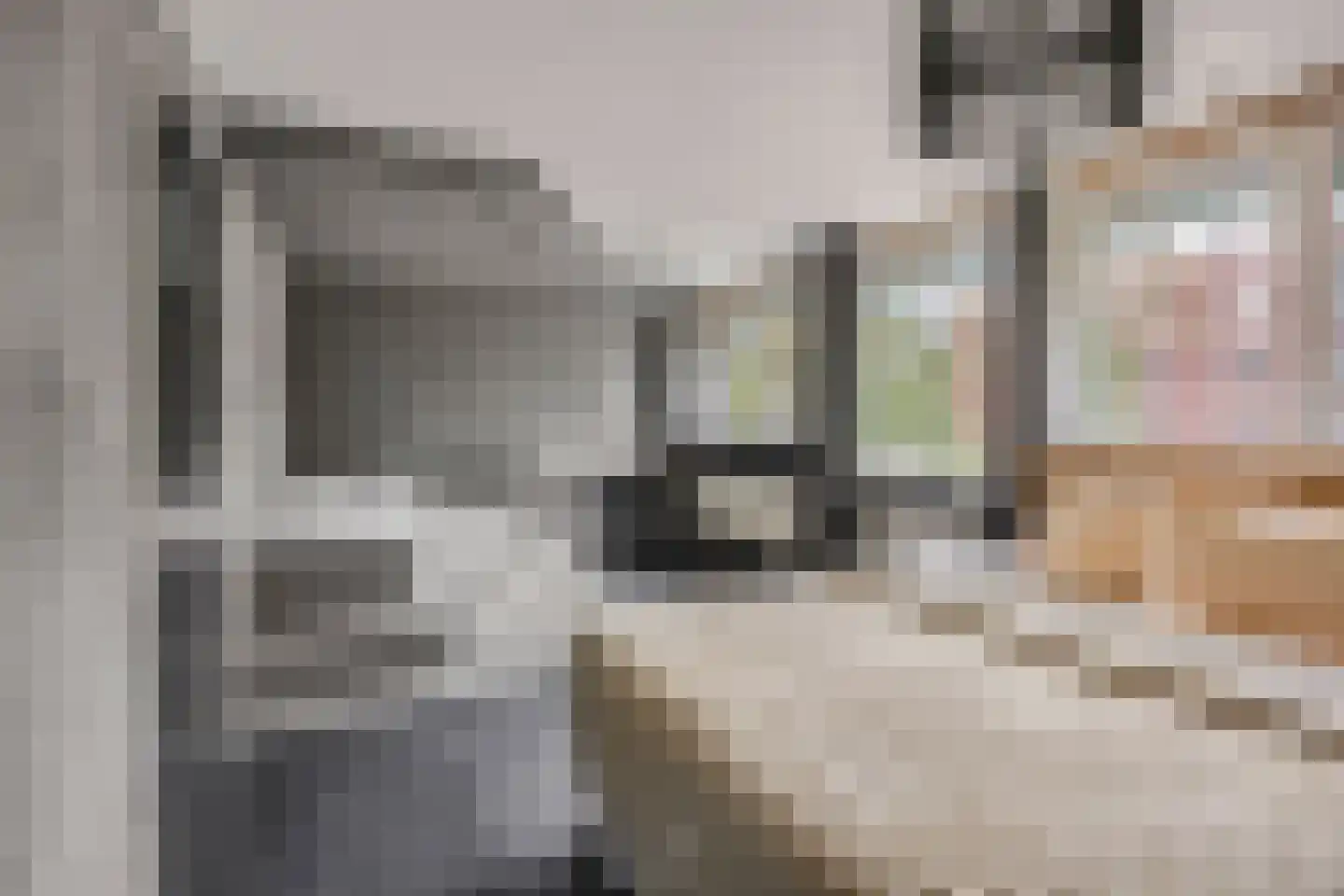 Batenstein 14 Ede thumbnail 17