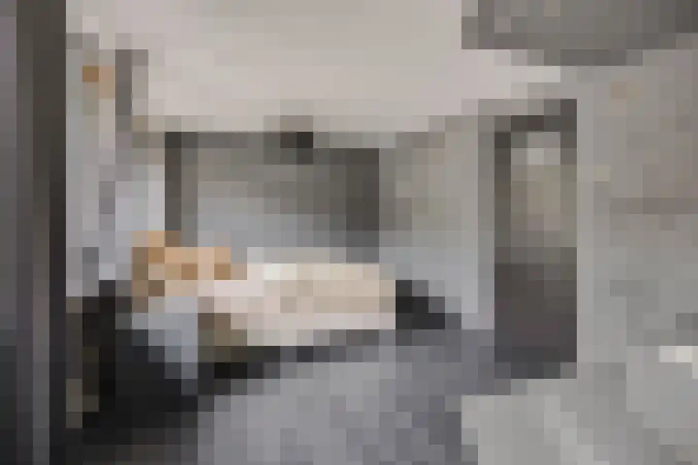 Batenstein 14 Ede thumbnail 21