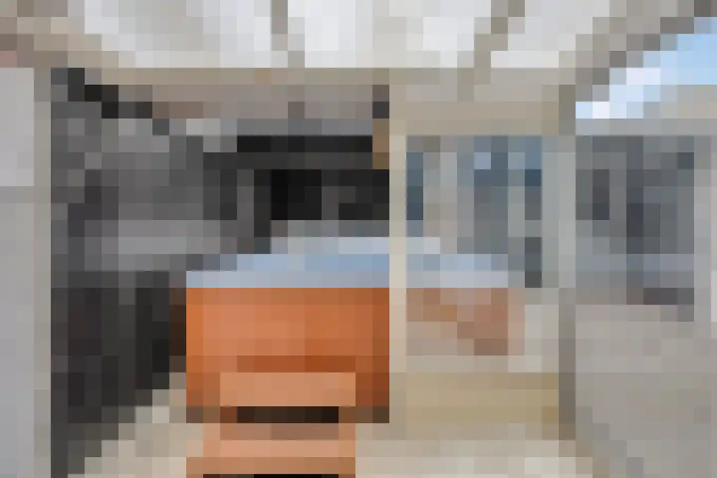 Batenstein 14 Ede thumbnail 39